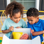 Basketball Starter Kit + Free Virtual Coaching